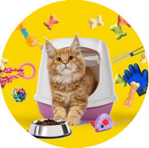 لوازم الحيوانات