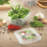 Food container Set of 3 Fresh Food Containers