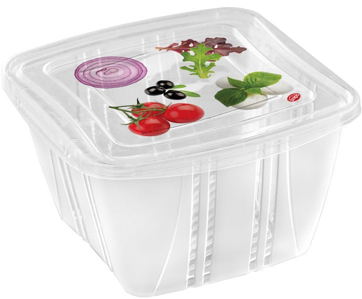 Food container Set of 3 Fresh Food Containers