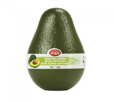 Avocado Container - Green