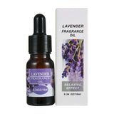 Lavender Fragrance Oil - Purple