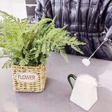 Adjustable Milk Frother, Black Color