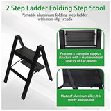 2 Step Alu Ladder Black