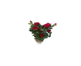 Artificial Plastic Rose Flowers With Plastic Pot-Red
