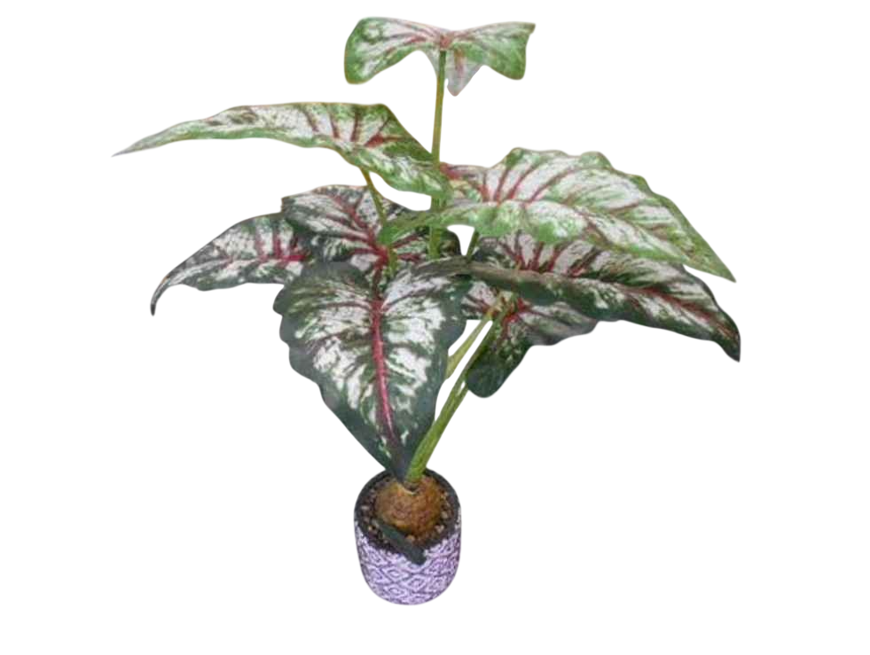 Artificial Plastic Plant With Cement Pot-Green