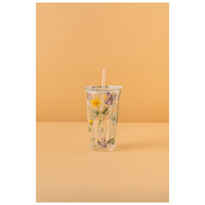 Waba B30 Glass Mug With Lid + Straw-Multicolor