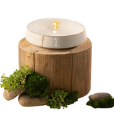 Large Date Bowl - Beige + Gold