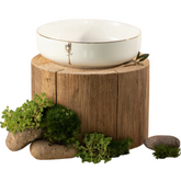 Porcelain Salad Bowl - Pearl White+Gold