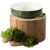 Porcelain Salad Bowl - Olive+Gold