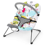 Reclined Bouncer Chair for kids