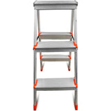 Twin Aluminum Ladder
