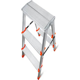 Twin Aluminum Ladder