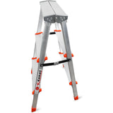 Twin Aluminum Ladder