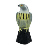 Eagle 18X17.5X40Cm - White