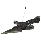 Flying Hawk Decoy Bird Deterrent 51X34X9Cm - Black