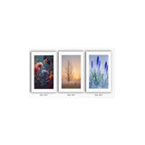 3Pc Frame Set 9X12" Floral Design - Multicolor