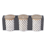 Danny Home 3Pc Ceramic Seasoning Jar Set With Oak Lid-10X10X12Cm-White