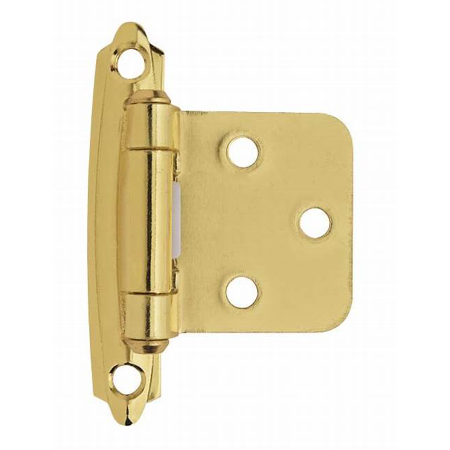 Brass Hinge