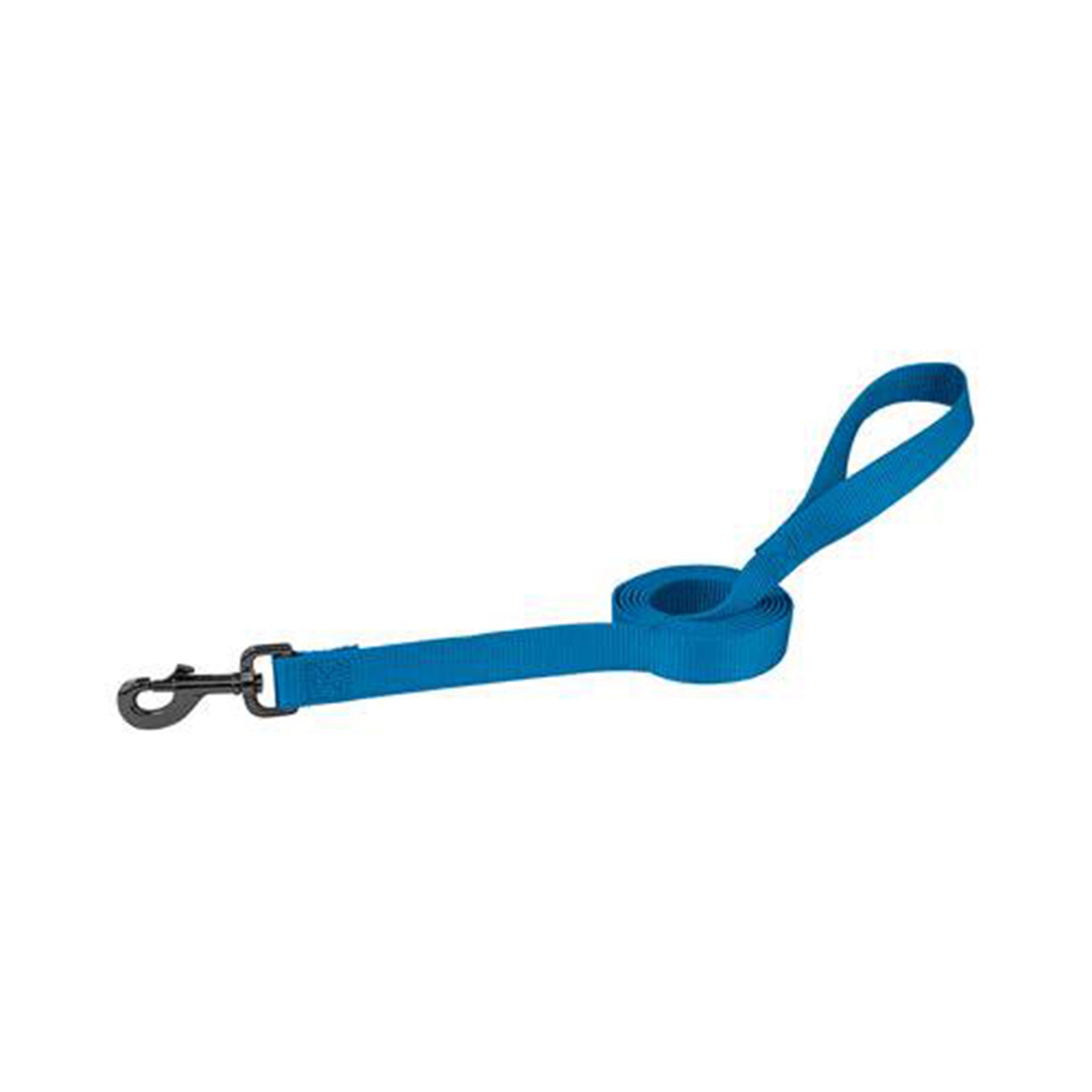 Dog leash - Blue