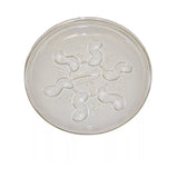 Gardener'S Blue Ribbon Saucer Plus 10"-Clear