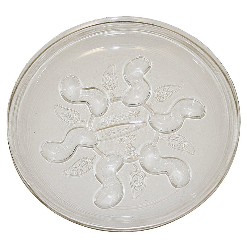 Gardener'S Blue Ribbon Saucer Plus 6"-Clear
