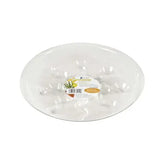 Gardener'S Blue Ribbon Saucer Plus 8"-Clear
