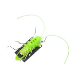 Grasshop Solar Light -Four Season-Green