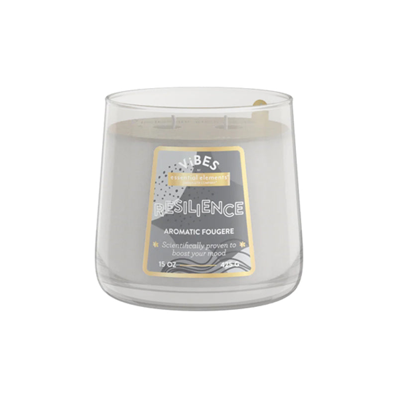 Aromatic Candle Edes 15Oz Resilence - Silver
