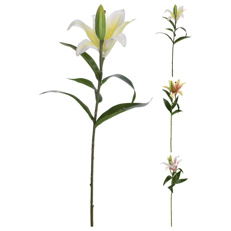 Lily 59Cm-Multi-Color