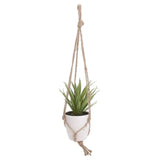 Hanging Cactus Plant in White Pot 43cm