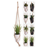 Hanging Cactus Plant in White Pot 43cm
