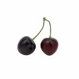 Plastic Artificial Cherry