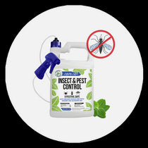 Pest Control