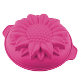 Silicone Mold