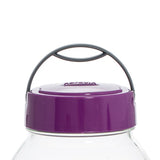 Glass jar with purple lid