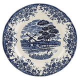 Dinner plate - blue