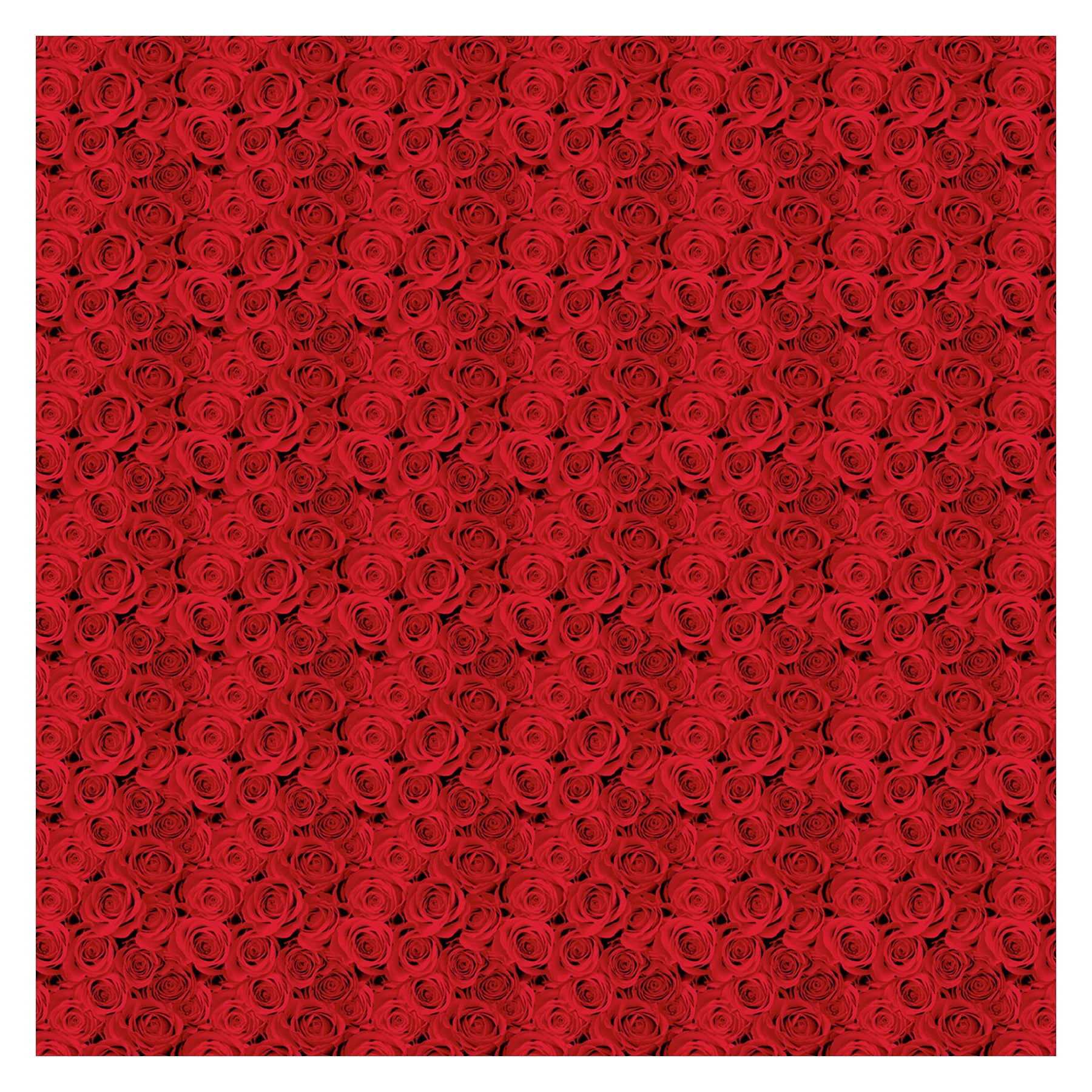 Slip cover