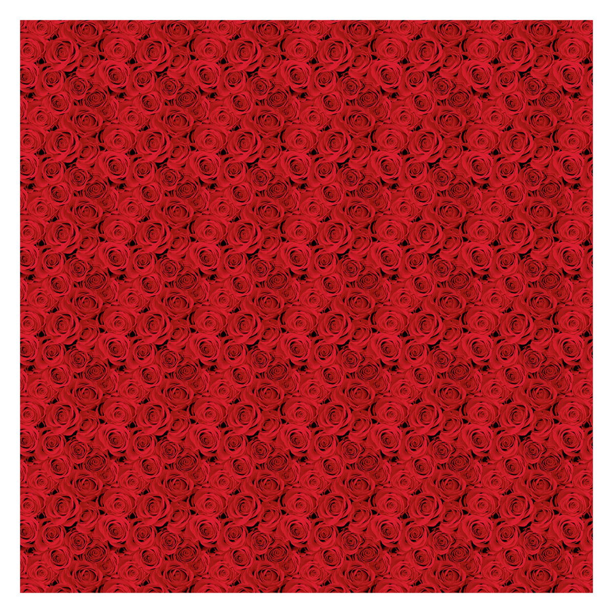 Slip cover