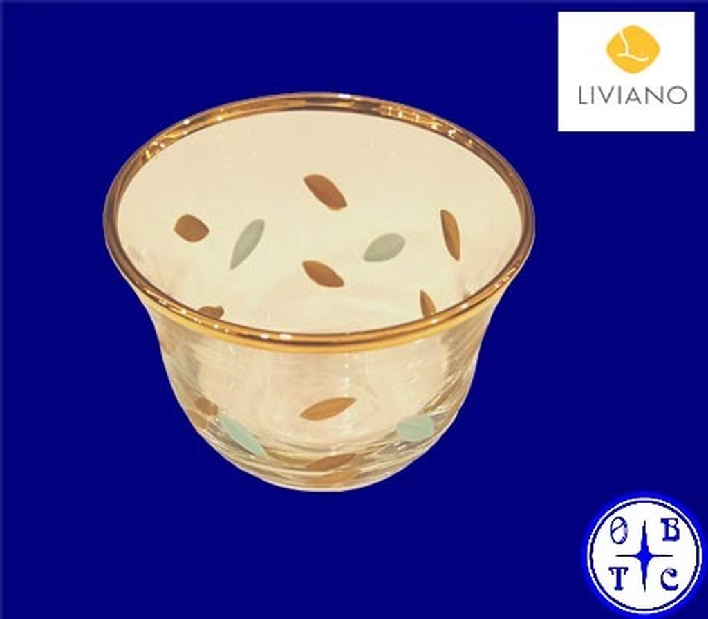 Liviano Premium Glass Cup With Gold Rim And Patterned Accents-Clear