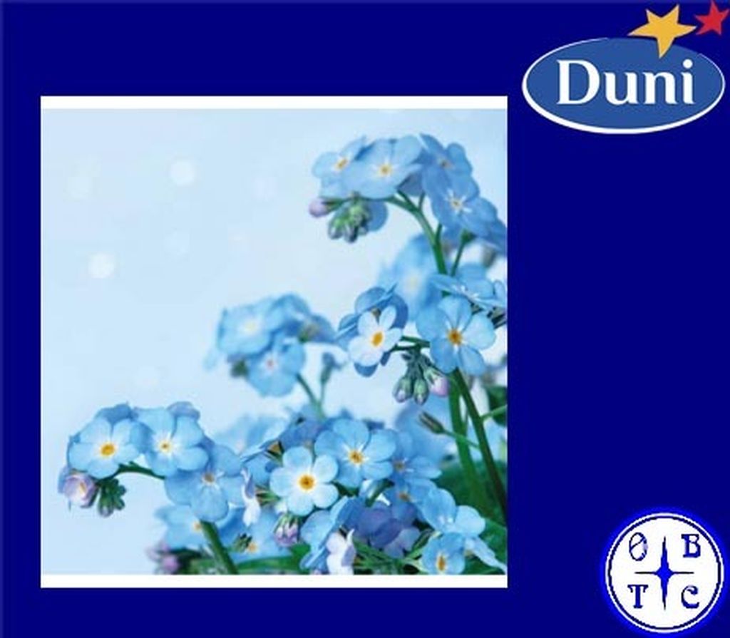 Duni Pd 206211 24Cm Napkin Dream 20`-Blue