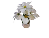 Artificial Plastic Flower With Ceramic Pot- Small-White