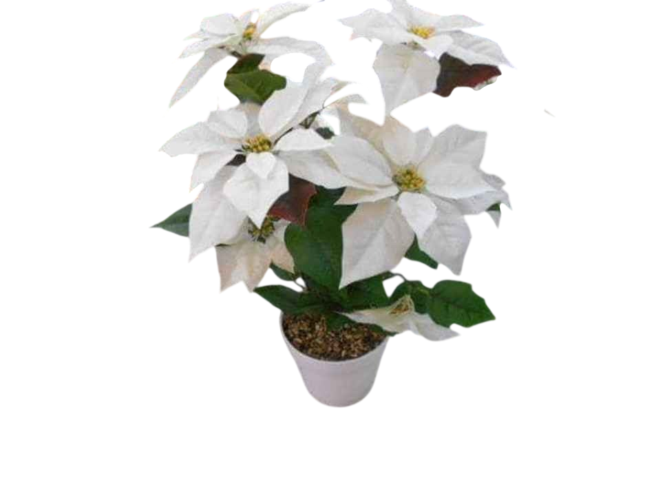 Artificial Plastic Flower With Ceramic Pot- Large-White
