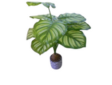 Artificial Plastic Plant With Cement Pot-Green