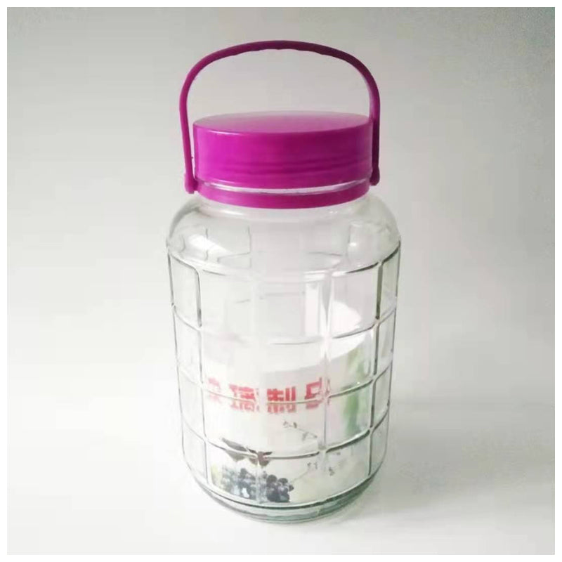 Glass Jar With Lid 2.7 L-Clear-Purple