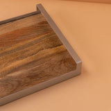 DS10 Rectangular serving tray - Silver
