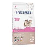 Cat Dry Food