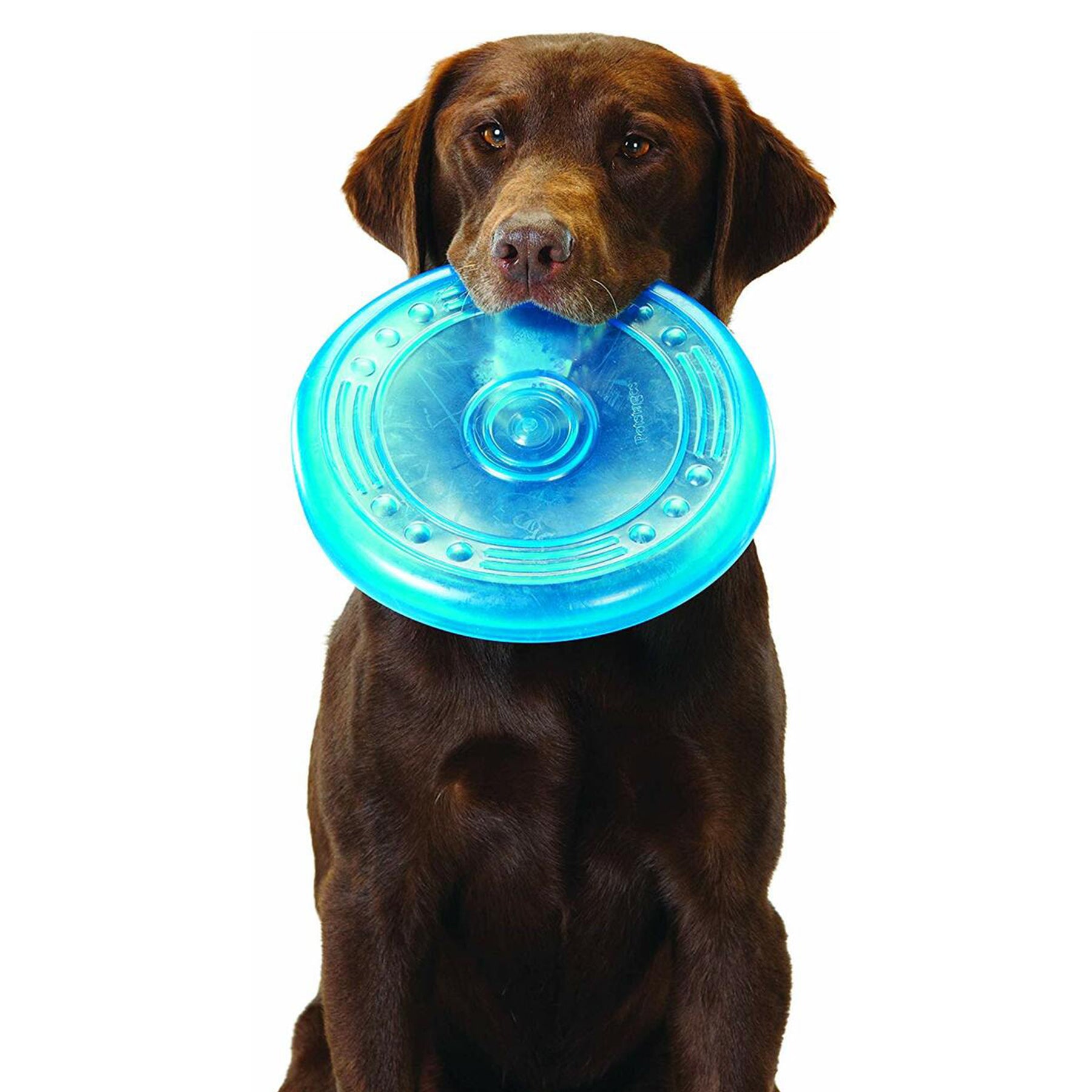 Dog Orka Flyer, Blue