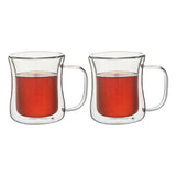Double Wall Glass cup