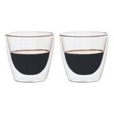 Double Wall Glass cup