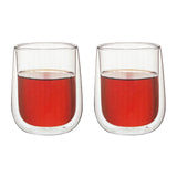 Double Wall Glass cup